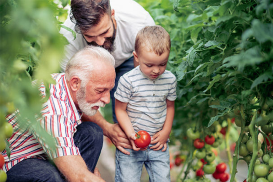 5 reasons you should write your family business story