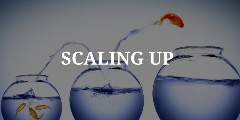 From Startup to Scaleup and listing – a work in progress